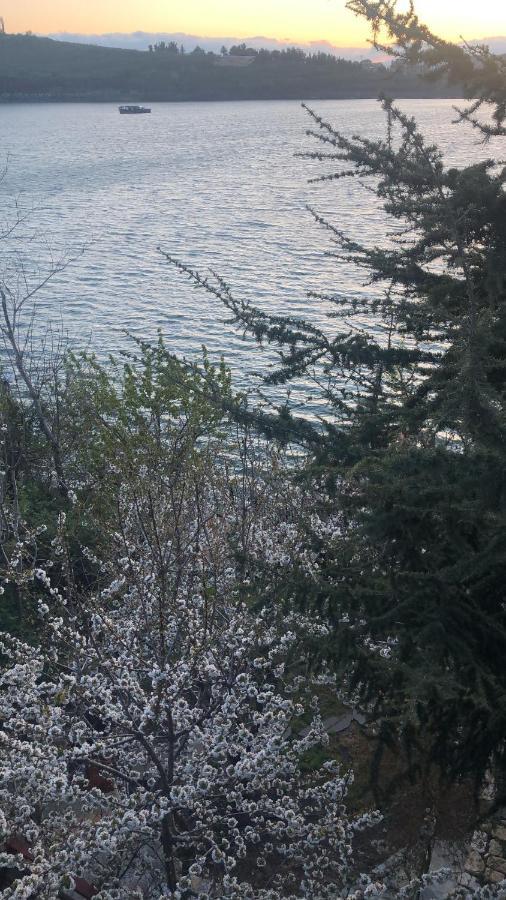 Zimer Al-Bayt Mas'ada Exterior foto